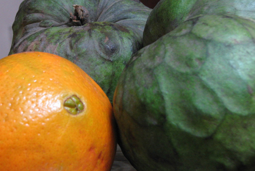 Chirimoya alegre o chirimoya con naranja Chirimoya alegre o chirimoya con naranja