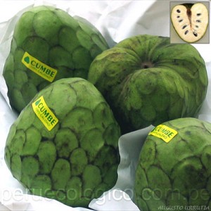 Kilo de chirimoyas Kilo de chirimoyas